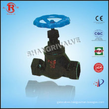 Cast Iron Fnpt Globe Valve